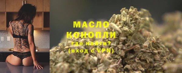 крисы Каменка
