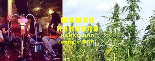 крисы Каменка