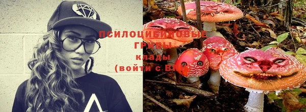крисы Каменка