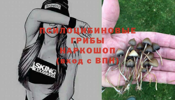 крисы Каменка