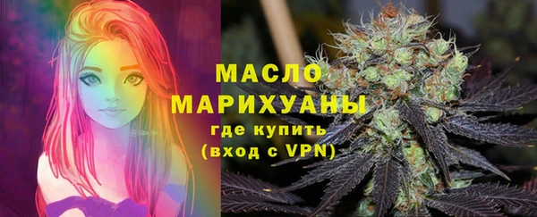 крисы Каменка