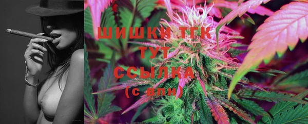 крисы Каменка