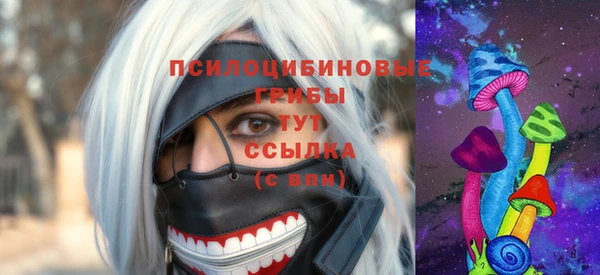 крисы Каменка
