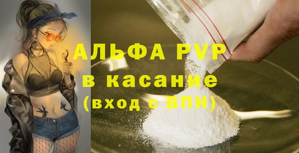 крисы Каменка